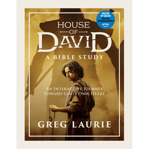 House of David (a Bible Study): An Interactive Journey Toward God's Own Heart - Paperback - iShook Books