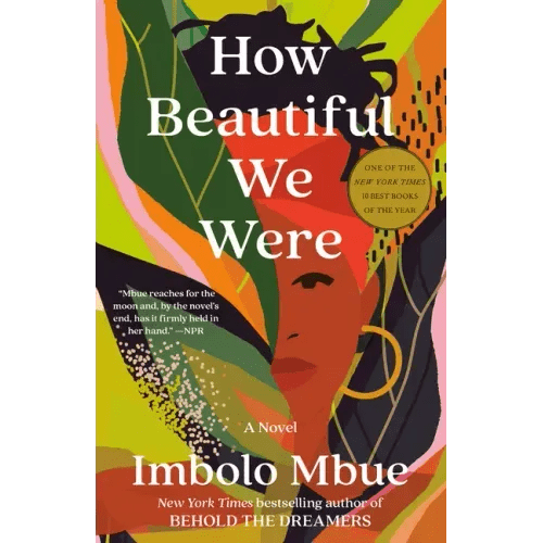 How Beautiful We Were - Paperback - iShook Books