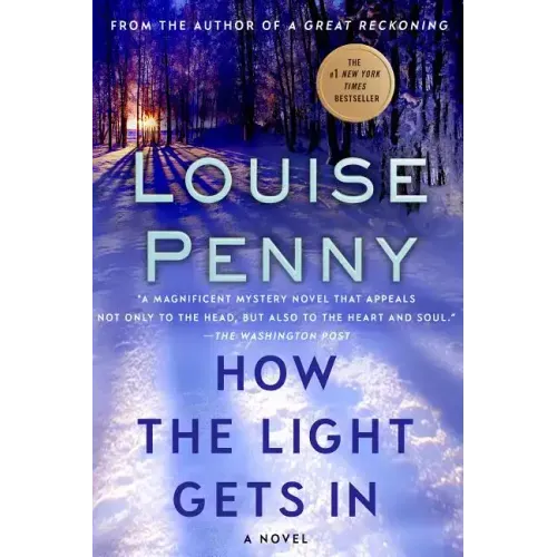 How the Light Gets in - Paperback - iShook Books