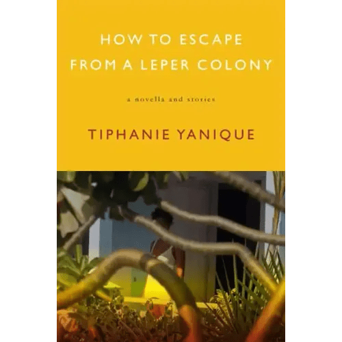 How to Escape from a Leper Colony: A Novella and Stories - Paperback - iShook Books