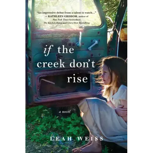 If the Creek Don't Rise - Paperback - iShook Books