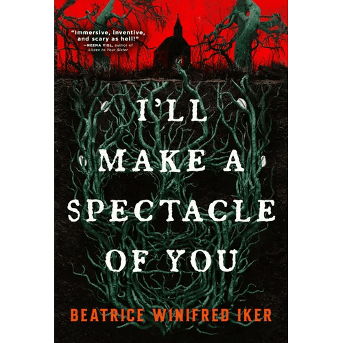 I'll Make a Spectacle of You - Paperback - iShook Books