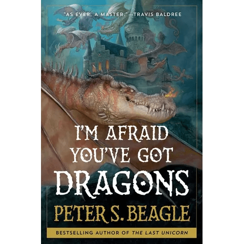 I'm Afraid You've Got Dragons - Hardcover - iShook Books