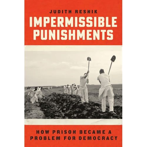 Impermissible Punishments: How Prison Became a Problem for Democracy - Hardcover - iShook Books