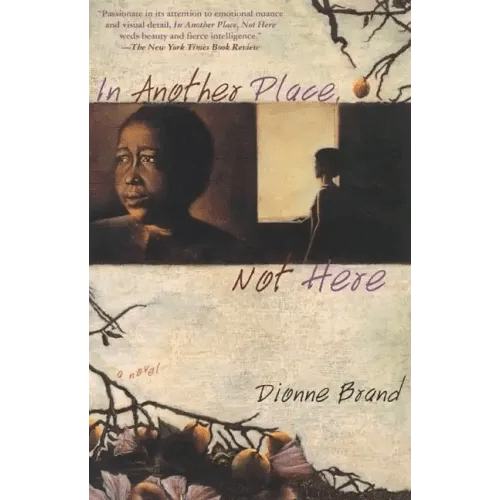 In Another Place, Not Here - Paperback - iShook Books