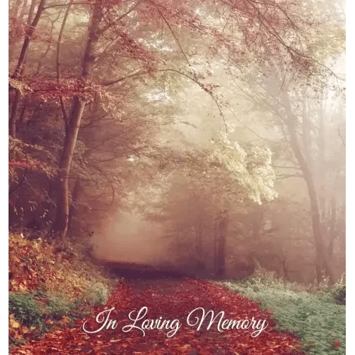"In Loving Memory" Funeral Guest Book, Memorial Guest Book, Condolence Book, Remembrance Book for Funerals or Wake, Memorial Service Guest Book: HARDC - Hardcover - iShook Books