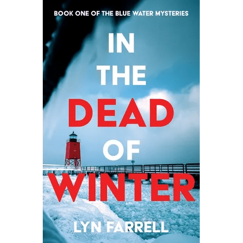In the Dead of Winter - Paperback - iShook Books