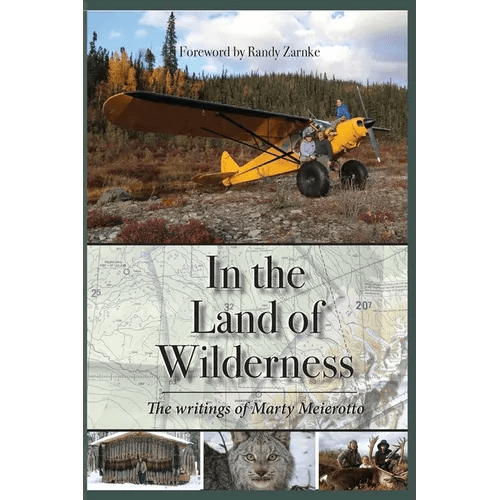 In the Land of Wilderness - Paperback - iShook Books