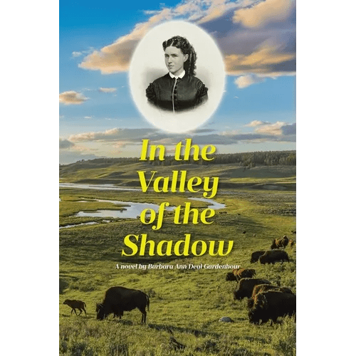 In the Valley of the Shadow - Paperback - iShook Books