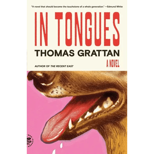 In Tongues - Paperback - iShook Books