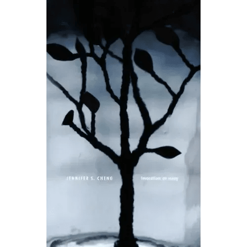 Invocation: an Essay - Paperback - iShook Books