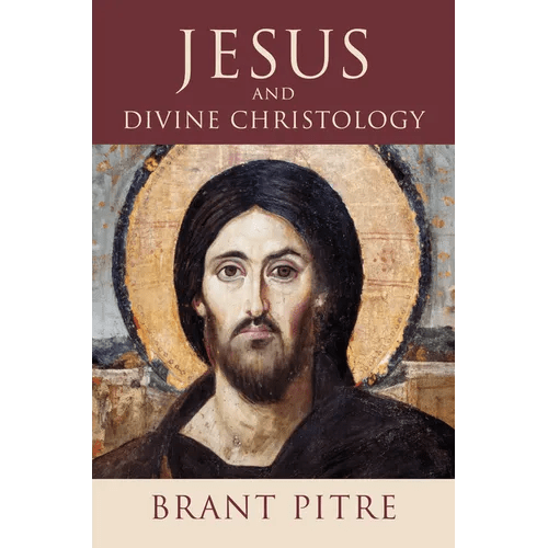 Jesus and Divine Christology - Paperback - iShook Books