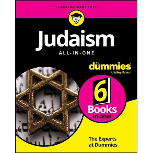 Judaism All-In-One for Dummies - Paperback - iShook Books