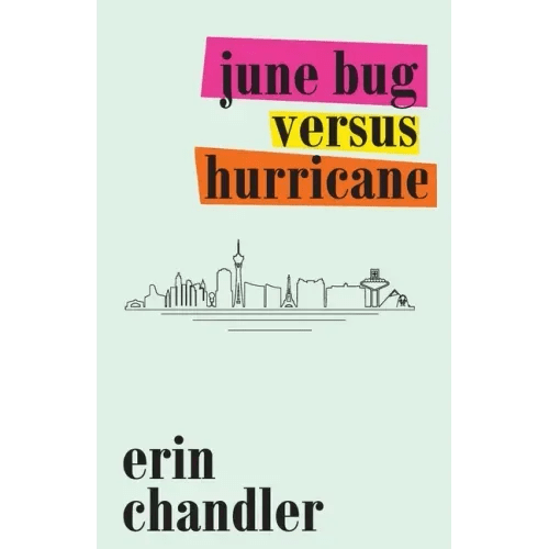 June Bug Versus Hurricane - Paperback - iShook Books