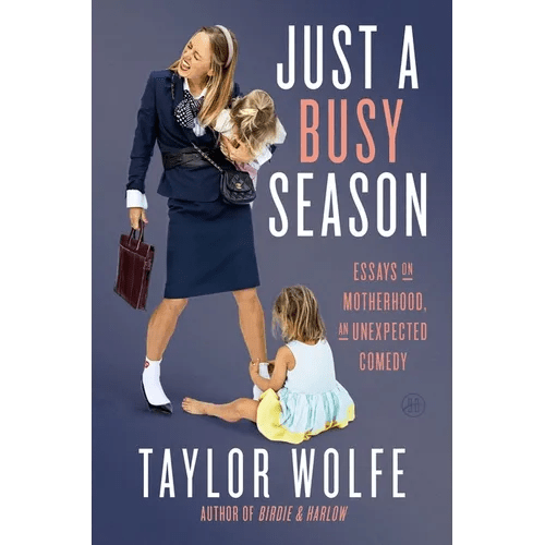 Just a Busy Season: Essays on Motherhood, an Unexpected Comedy - Hardcover - iShook Books