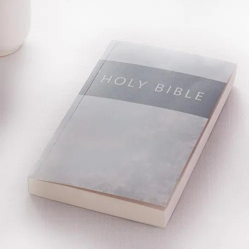 KJV Budget Softcover Silver - Paperback - iShook Books