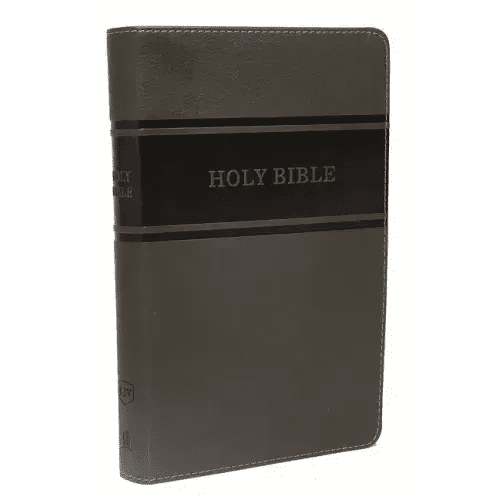 KJV, Deluxe Gift Bible, Imitation Leather, Gray, Red Letter Edition - Imitation Leather - iShook Books