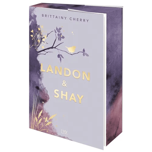 Landon & Shay - Paperback - iShook Books