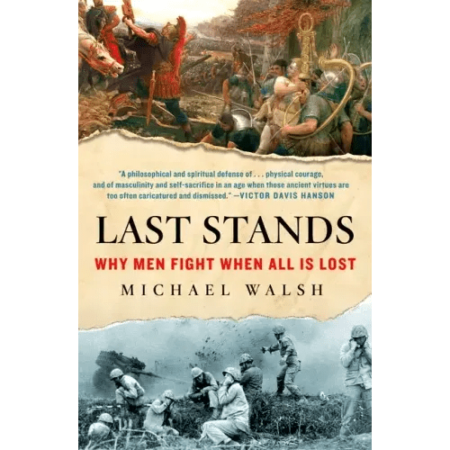 Last Stands: Why Men Fight When All Is Lost - Paperback - iShook Books