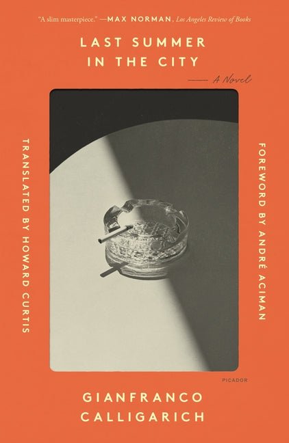 Last Summer in the City - iShook Books