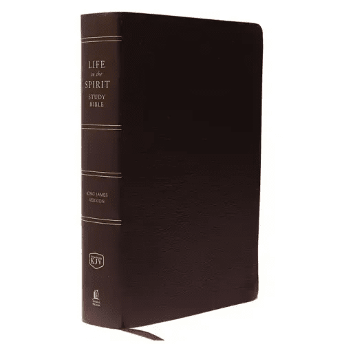 Life in the Spirit Study Bible - KJV - Bonded Leather - iShook Books