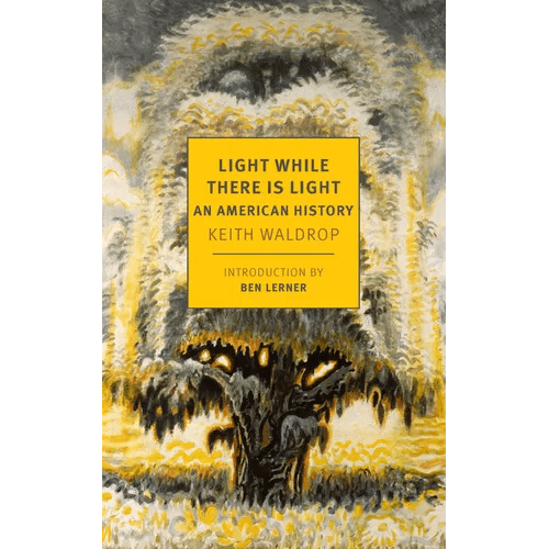Light While There Is Light: An American History - Paperback - iShook Books