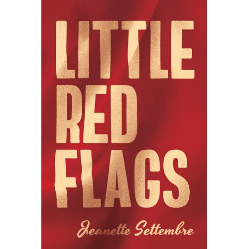Little Red Flags - Paperback - iShook Books