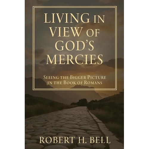 Living In View of God's Mercies: Seeing the Bigger Picture in the Book of Romans - Paperback - iShook Books