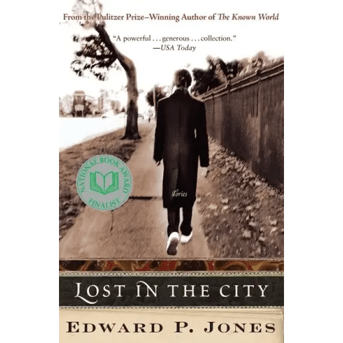 Lost in the City - Paperback - iShook Books