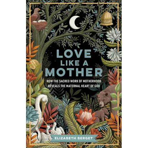 Love Like a Mother: How the Sacred Work of Motherhood Reveals the Maternal Heart of God - Paperback - iShook Books