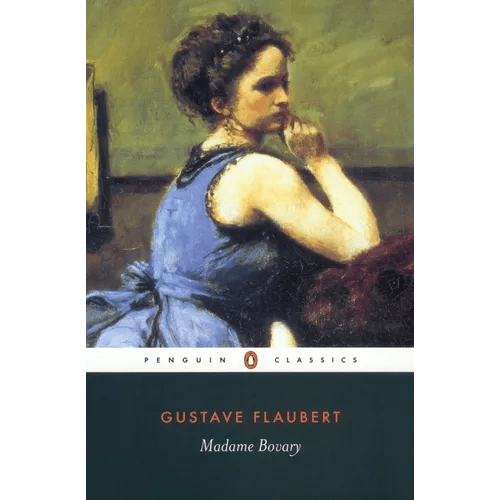 Madame Bovary: Provincial Lives - Paperback - iShook Books
