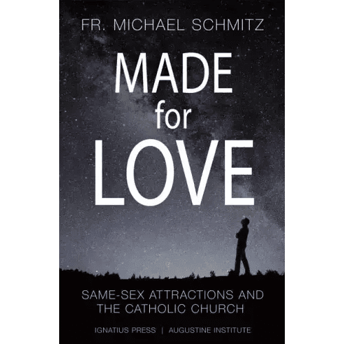 Made for Love: Same-Sex Attraction and the Catholic Church - Paperback - iShook Books