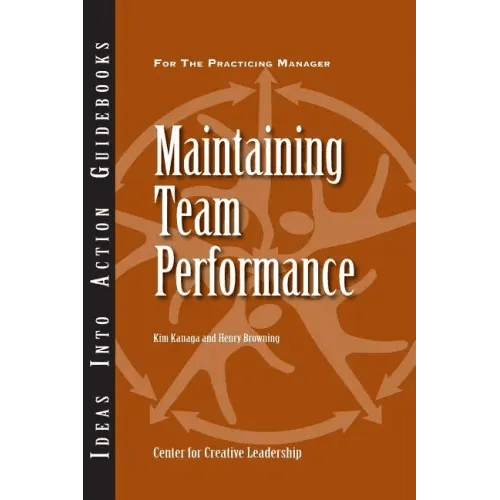 Maintaining Team Performance - Paperback - iShook Books