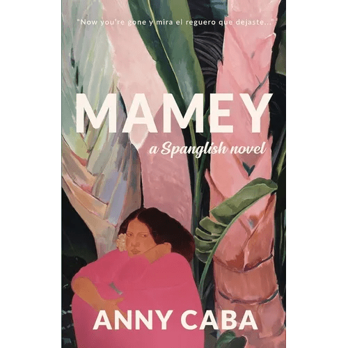 Mamey: a Spanglish Novel - Paperback - iShook Books