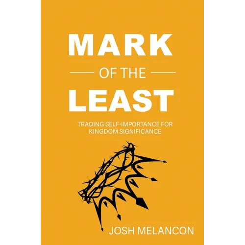 Mark of the Least - Paperback - iShook Books