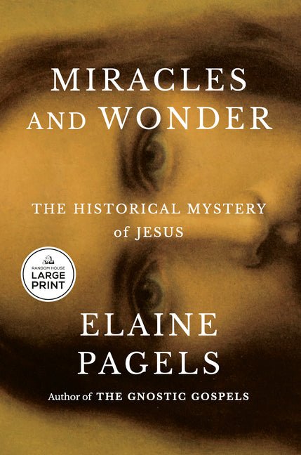 Miracles and Wonder: The Historical Mystery of Jesus - iShook Books