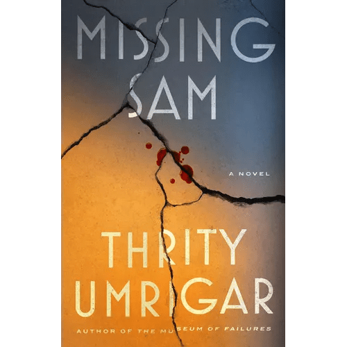 Missing Sam - Paperback - iShook Books