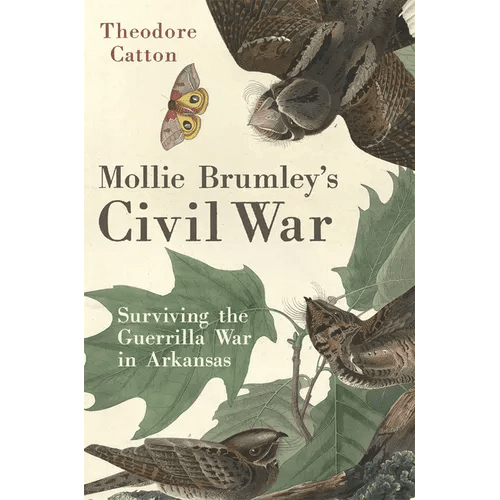 Mollie Brumley's Civil War: Surviving the Guerrilla War in Arkansas - Hardcover - iShook Books