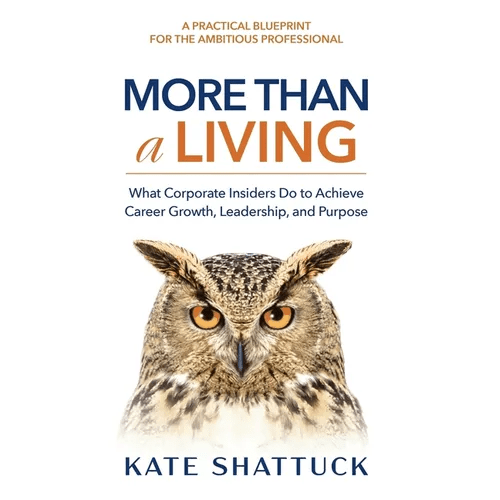 More Than a Living: What Corporate Insiders Do to Achieve Career Growth, Leadership, and Purpose - Hardcover - iShook Books