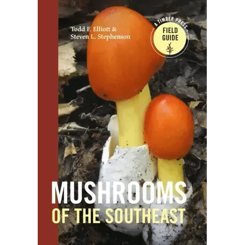 Mushrooms of the Southeast - Paperback - iShook Books