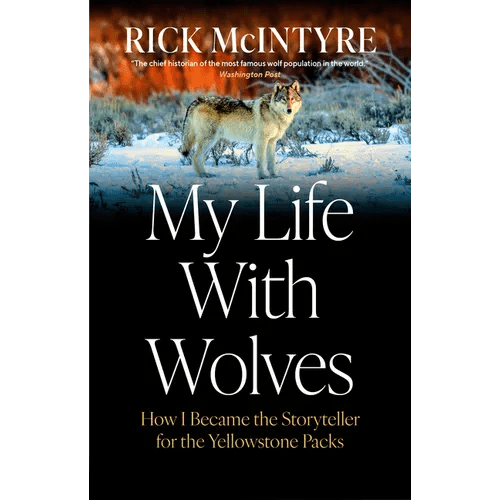 My Life with Wolves: How I Became the Storyteller for the Yellowstone Packs - Hardcover - iShook Books