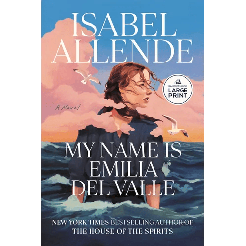 My Name Is Emilia del Valle - Paperback - iShook Books