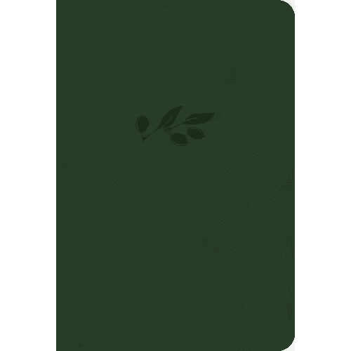 NASB Large Print Compact Reference Bible, Olive Leathertouch - Imitation Leather - iShook Books