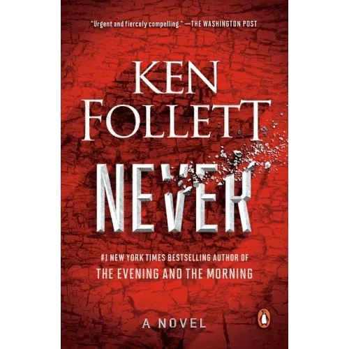 Never - Paperback - iShook Books