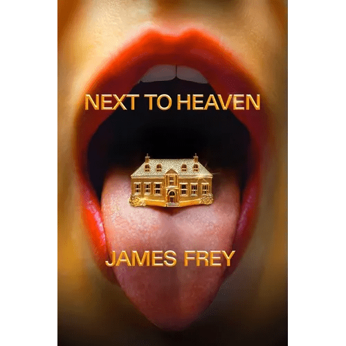 Next to Heaven - Hardcover - iShook Books