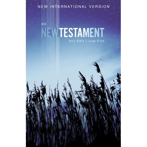 NIV, Outreach New Testament, Large Print, Paperback - Paperback - iShook Books