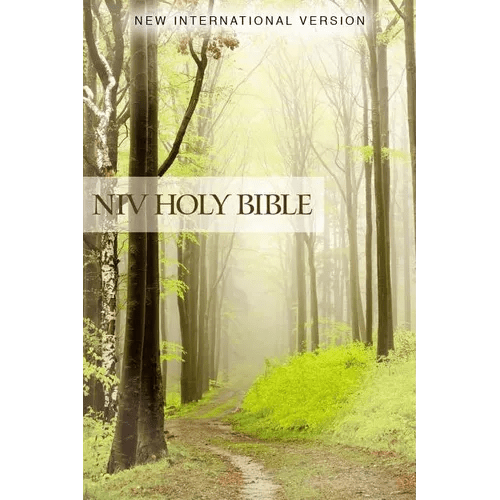 NIV, Value Outreach Bible, Paperback - Paperback - iShook Books