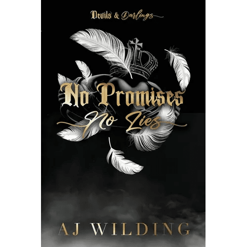 No Promises, No Lies (Discreet Feather Edition) - Paperback - iShook Books