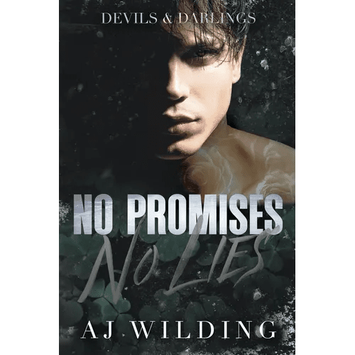 No Promises, No Lies - Paperback - iShook Books