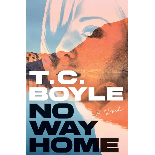 No Way Home - Hardcover - iShook Books